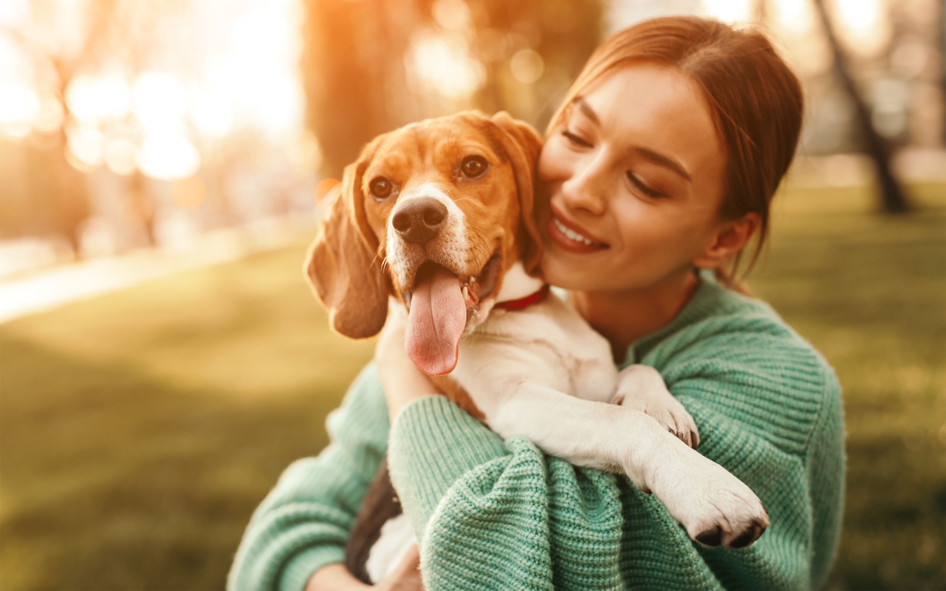 What are the Potential Benefits of Pet CBD for Your Furry Loved Ones?