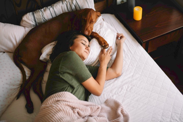Science-Rite:  Does CBD Help You Sleep? How to Find the Best CBD Oil for Sleep